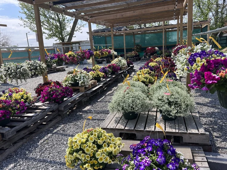 Bloom Time Gardens Reopens for Season — The Kokomo Post